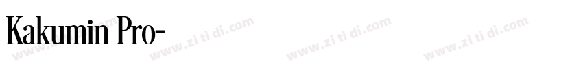 Kakumin Pro字体转换